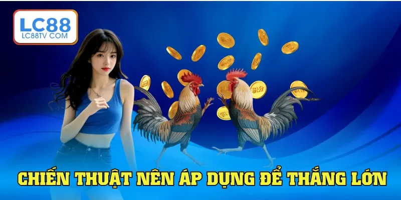 Gà Cựa Dao - Loại Hình Giải Trí Chuyên Nghiệp Toàn Châu Á