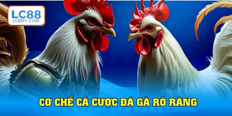 Đá Gà LC88: Trải Nghiệp Độc Đáo & Kịch Tính Từng Phút Giây
