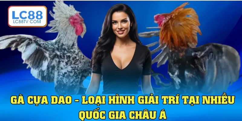 Gà Cựa Dao - Loại Hình Giải Trí Chuyên Nghiệp Toàn Châu Á