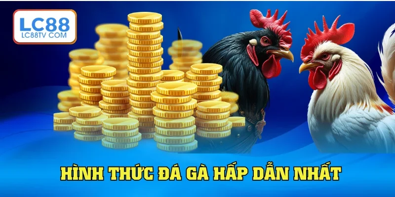 Đá Gà LC88: Trải Nghiệp Độc Đáo & Kịch Tính Từng Phút Giây