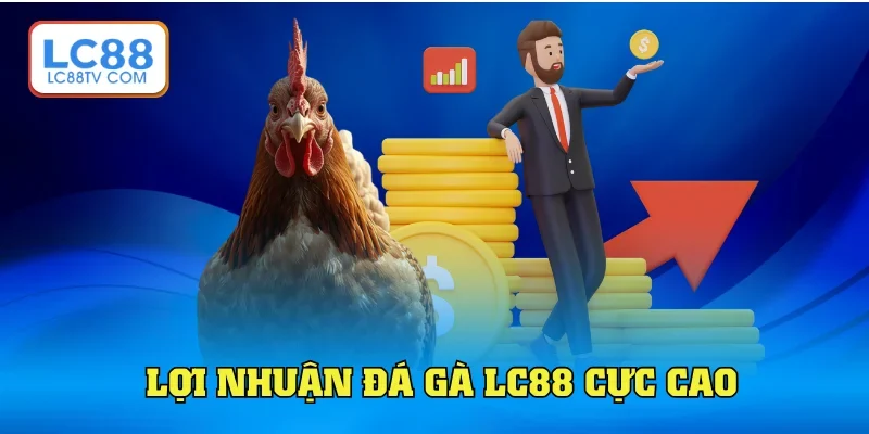 Đá Gà LC88: Trải Nghiệp Độc Đáo & Kịch Tính Từng Phút Giây