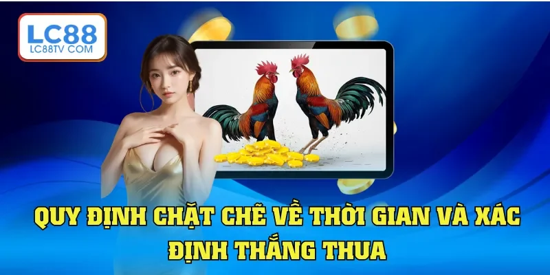 Gà Cựa Dao - Loại Hình Giải Trí Chuyên Nghiệp Toàn Châu Á