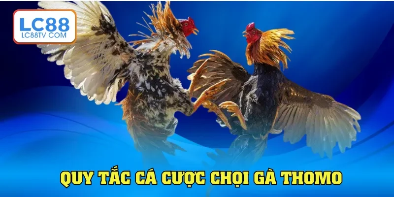 Đá Gà Thomo Là Gì Nắm Bắt Cách Dự Đoán Cá Cược Tại Lc88