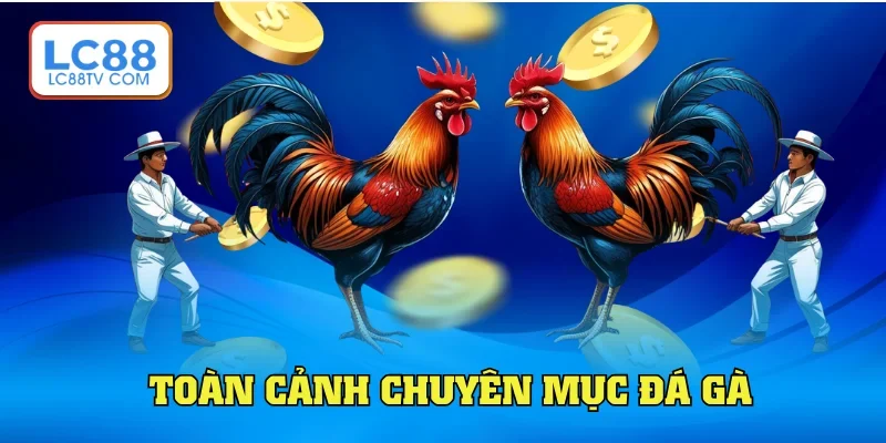 Đá Gà LC88: Trải Nghiệp Độc Đáo & Kịch Tính Từng Phút Giây